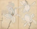 Cuaderno de bocetos Pl077 - Ariyoshi Kondo — vista de la obra
