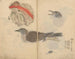 Cuaderno de bocetos Pl081 - Ariyoshi Kondo — vista de la obra