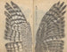 Cuaderno de bocetos Pl082 - Ariyoshi Kondo — vista de la obra