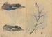 Cuaderno de bocetos Pl086 - Ariyoshi Kondo — vista de la obra
