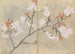 Cuaderno de bocetos Pl088 - Ariyoshi Kondo — vista de la obra