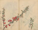 Cuaderno de bocetos Pl090 - Ariyoshi Kondo — vista de la obra