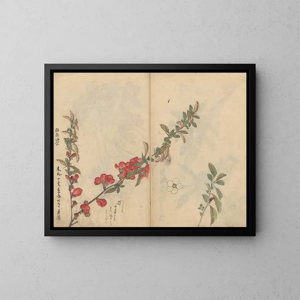 Cuaderno de bocetos Pl090 - Ariyoshi Kondo — cuadro enmarcado en la pared