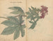 Cuaderno de bocetos Pl095 - Ariyoshi Kondo — vista de la obra