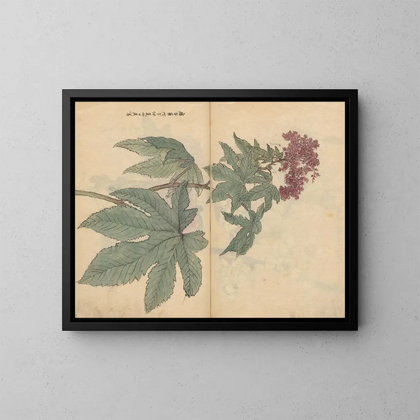 Cuaderno de bocetos Pl095 - Ariyoshi Kondo — cuadro enmarcado en la pared
