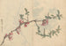 Cuaderno de bocetos Pl096 - Ariyoshi Kondo — vista de la obra