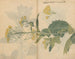 Cuaderno de bocetos Pl099 - Ariyoshi Kondo — vista de la obra
