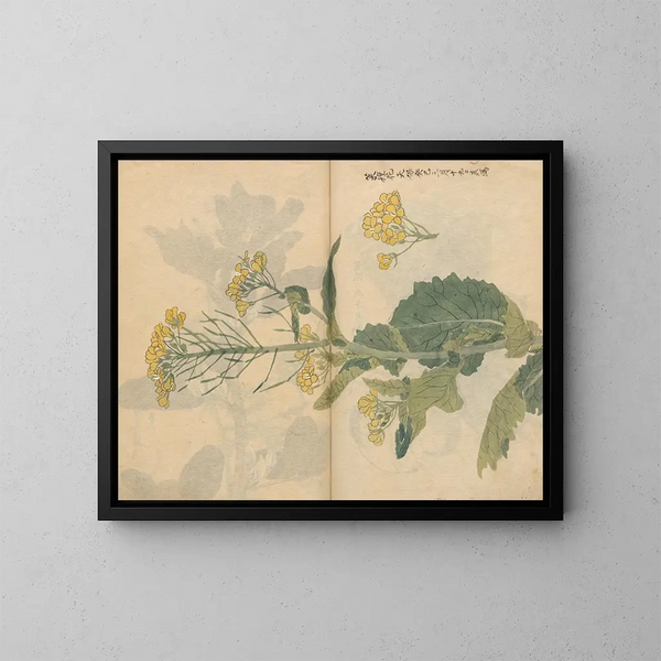 Cuaderno de bocetos Pl099 - Ariyoshi Kondo — cuadro enmarcado en la pared