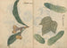 Sketchbook Pl101 - Ariyoshi Kondo — artwork view