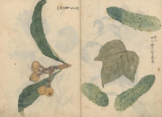Ariyoshi Kondo - Sketchbook Pl101.webp