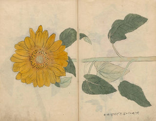 Ariyoshi Kondo - Sketchbook Pl103.webp