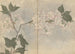 Cuaderno de bocetos Pl105 - Ariyoshi Kondo — vista de la obra