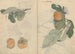 Cuaderno de bocetos Pl106 - Ariyoshi Kondo — vista de la obra