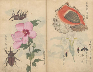 Cuaderno de bocetos Pl108 - Ariyoshi Kondo — vista de la obra