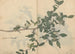 Cuaderno de bocetos Pl109 - Ariyoshi Kondo — vista de la obra