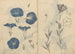 Cuaderno de bocetos Pl112 - Ariyoshi Kondo — vista de la obra