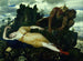 Diane endormie surveillée par deux faunes - Arnold Böcklin — artwork view