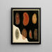 Les polyclades du golfe de Naples et des zones maritimes adjacentes pl. 8 - Arnold Lang — framed artwork on a wall