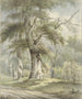Vista sobre el bosque - Arnoldus Johannes Eymer — vista de la obra