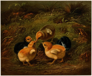 Arthur Fitzwilliam Tait - Chickens.webp