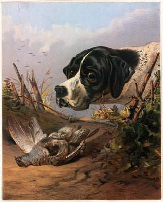 Arthur Fitzwilliam Tait - Dogs Head.webp