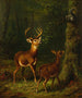 La selva de los Adirondacks - Arthur Fitzwilliam Tait — vista de la obra