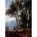 Paisaje boscoso - Asher Brown Durand — vista de la obra
