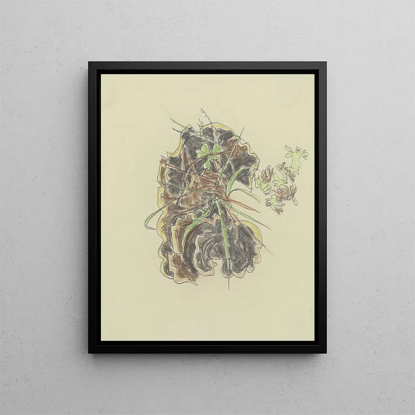 August Babberger - Study of plants.webp