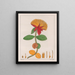 Gomphrena officinalis - Auguste de Saint-Hilaire — cuadro enmarcado en la pared