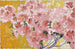 Azaleas en flor - Augusto Giacometti — vista de la obra