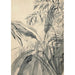 Study of plants - Augusto Giacometti — artwork view