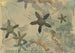 de plantas estilizadas - Augusto Giacometti — vista de la obra