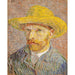 Reproducción del cuadro Autorretrato con sombrero de paja - Vincent van Gogh