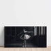Deep Black Ballet | Black and White Photo Decoration