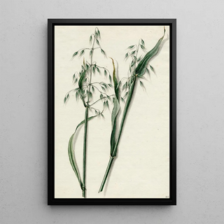 Barend Hendrik Thier - Haver.webp