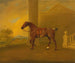 Roan Hack - Benjamin Marshall — vista de la obra