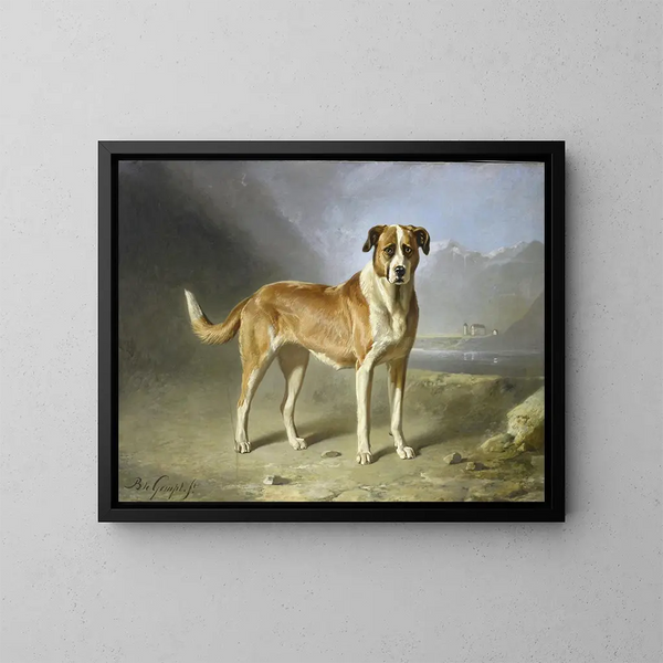 Perro San Bernardo - Bernard te Gempt — cuadro enmarcado en la pared