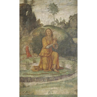 Bernardino Luini - Procris Prayer to Diana.webp