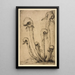 Darlingtonia - Bertha Jaques — framed artwork on a wall