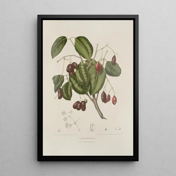 Reproduction of the painting Java Island Flowers, Fruits, and Foliage Selected Painting Pl32 - Berthe Hoola van Nooten