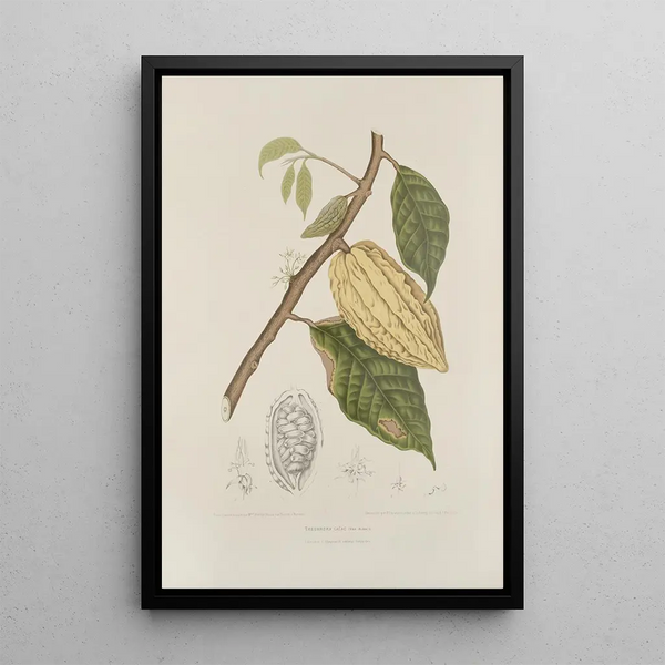 Reproduction of the painting Java Island Flowers, Fruits, and Foliage Selected Painting Pl35 - Berthe Hoola van Nooten