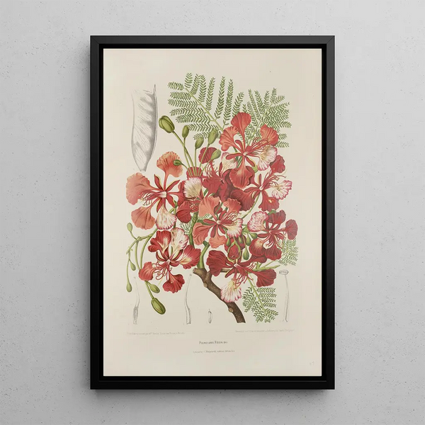Reproduction of the painting Java Island Flowers, Fruits, and Foliage Selected Painting Pl37 - Berthe Hoola van Nooten