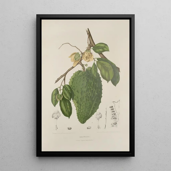 Reproduction of the painting Flowers, fruits and foliage selected from Java Island Pl39 - Berthe Hoola van Nooten