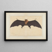 a large Indian bat or flying fox Pteropus giganteus - Bhawani Das — framed artwork on a wall