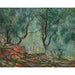 Reproducción del cuadro de madera de olivos en el jardín Moreno - Claude Monet