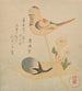 Bonbon en forma de berenjena, pájaro y adonis - Kubo Shunman — vista de la obra