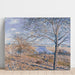 Reproducción del cuadro Bordes del Loing, efecto de otoño - Alfred Sisley