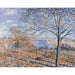 Reproducción del cuadro Bordes del Loing, efecto de otoño - Alfred Sisley