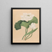 Lotus of the East Indies Nelumbo nucifera - 19th Century British School — framed artwork on a wall
