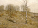 Hauts de décembre - Bruce Crane — artwork view
